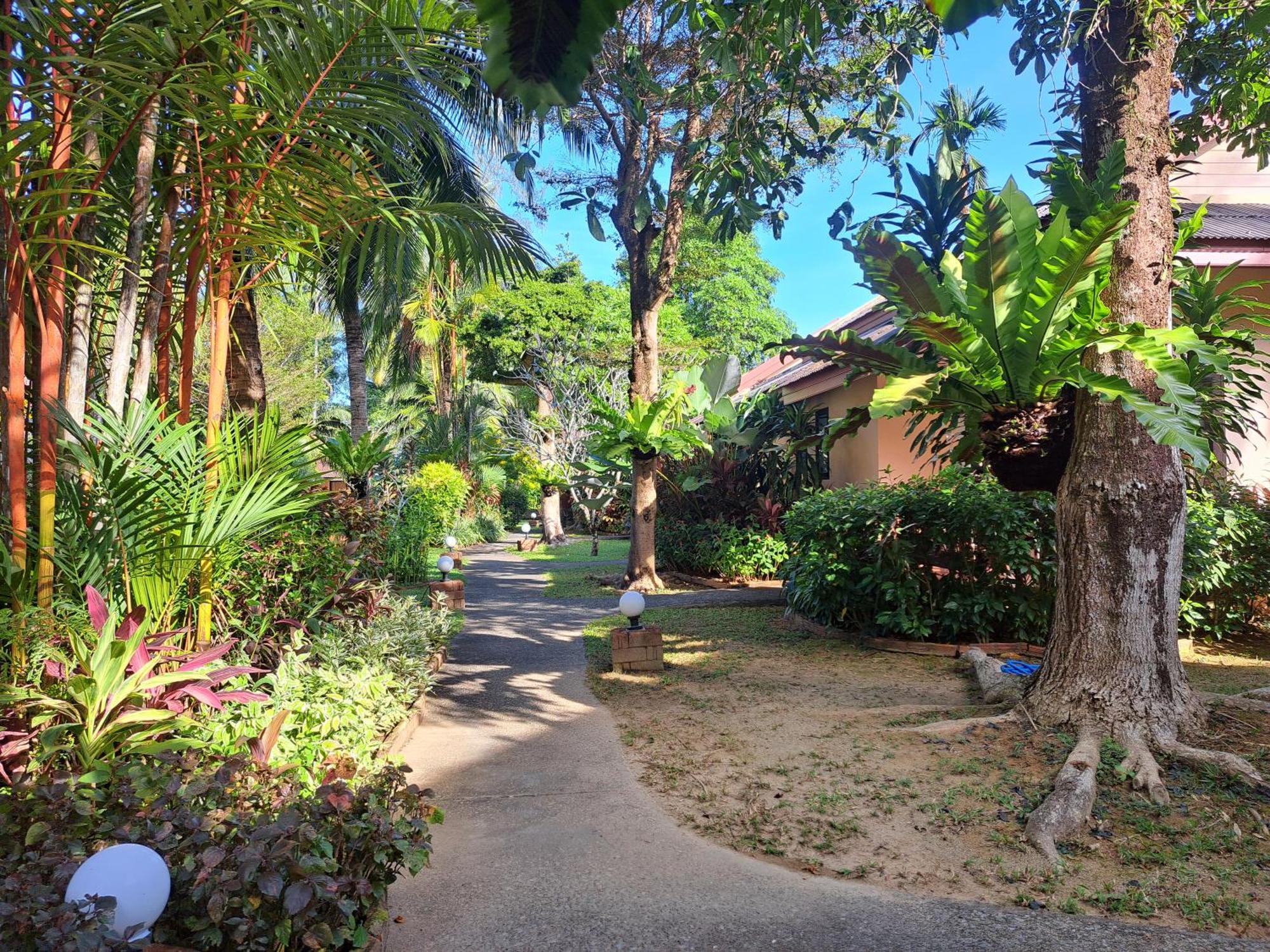 Jasmin Resort - Sha Plus Khao Lak Phòng bức ảnh