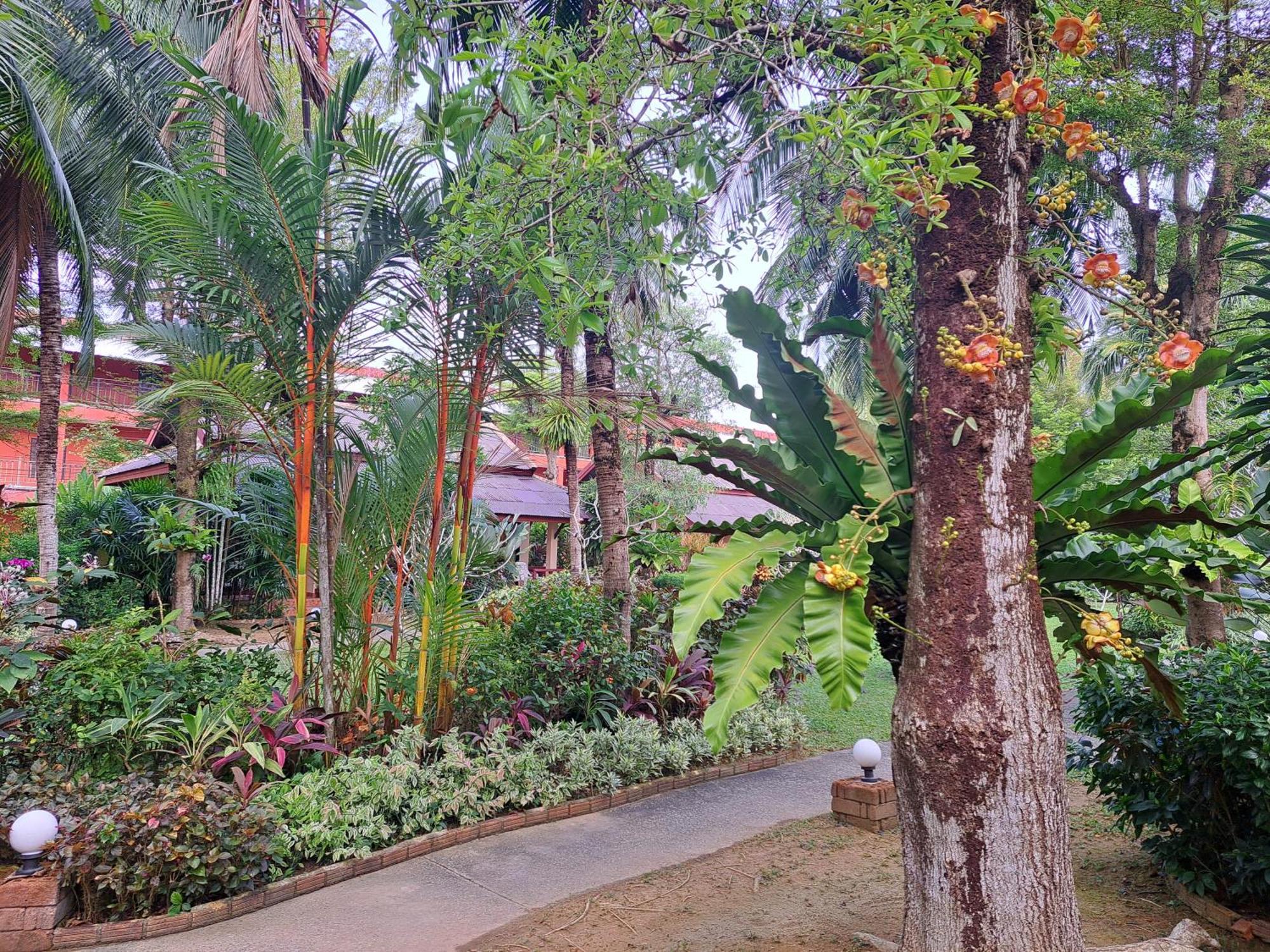 Jasmin Resort - Sha Plus Khao Lak Ngoại thất bức ảnh